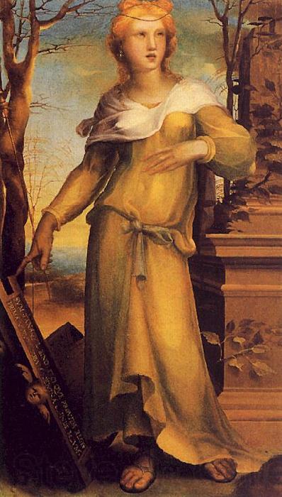 Domenico Beccafumi Tanaquil, Wife of Lucomo Spain oil painting art